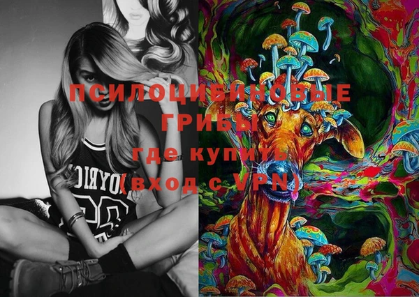прущая мука Белокуриха