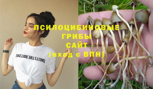 прущая мука Белокуриха